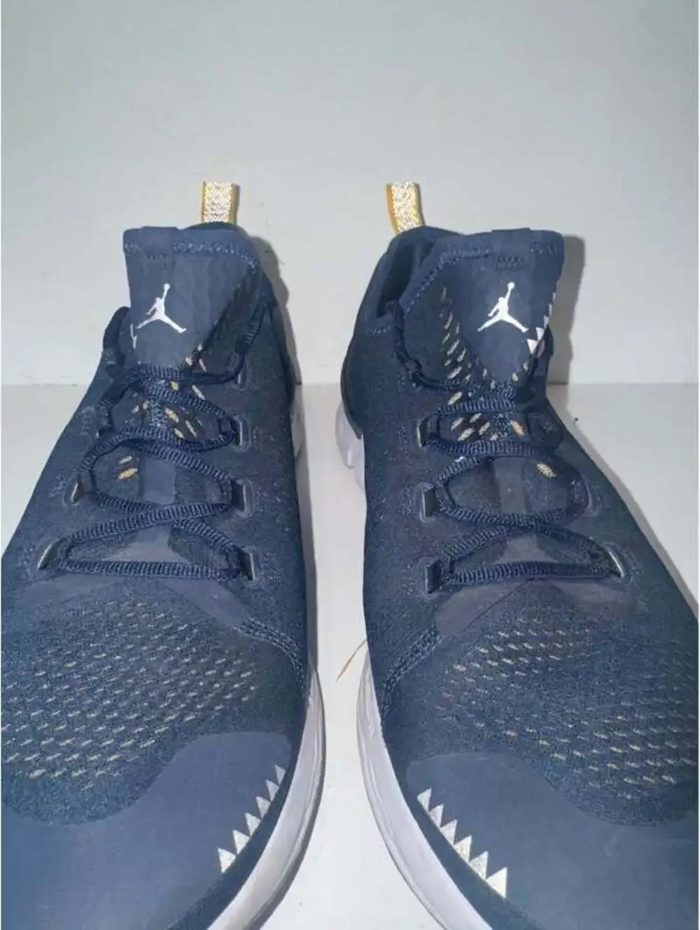 Team Issued Michigan Training Sneakers Size 12
